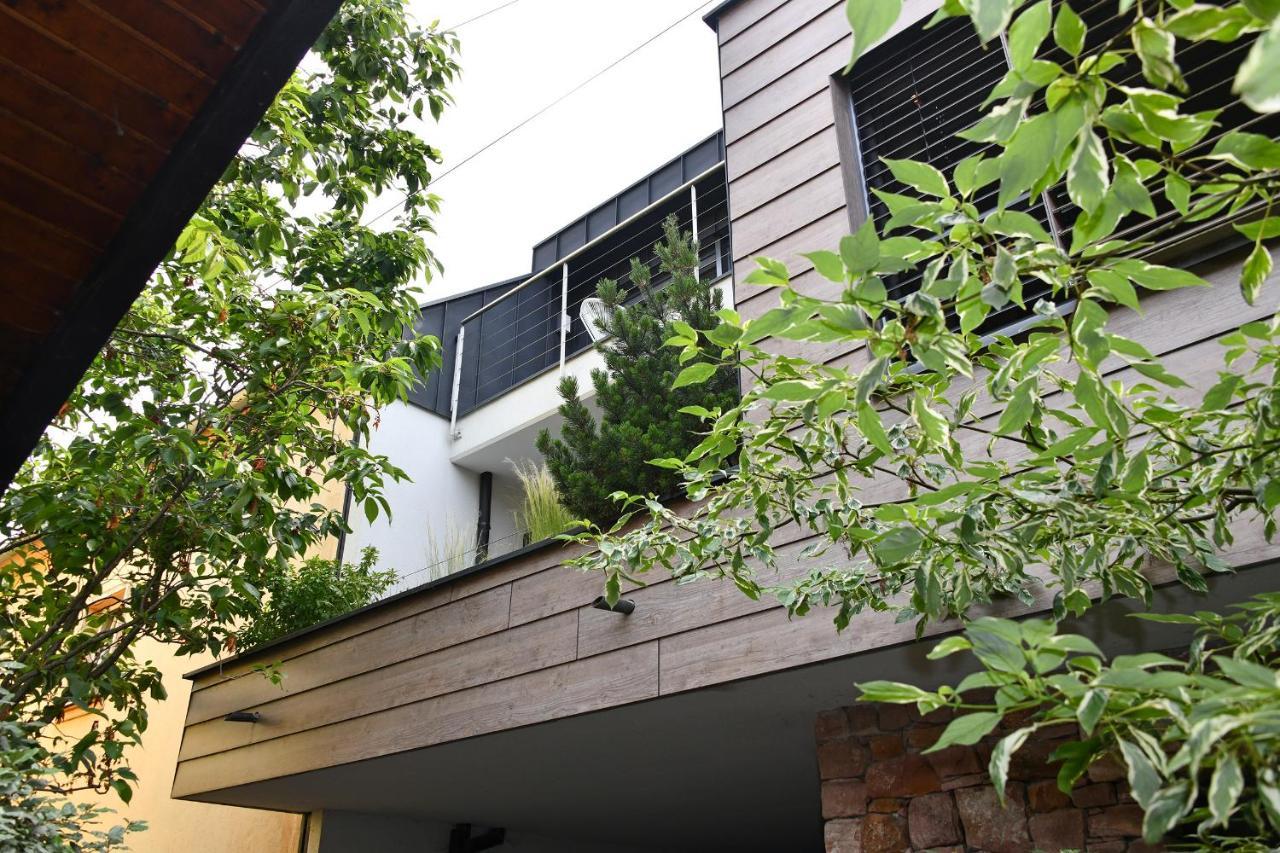 Gite Contemporain L'Hirondelle Guemar ภายนอก รูปภาพ
